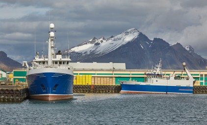 Havn med arktisk landskab i baggrunden