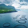 View of a fjord with fish farms in the Faroe Islands