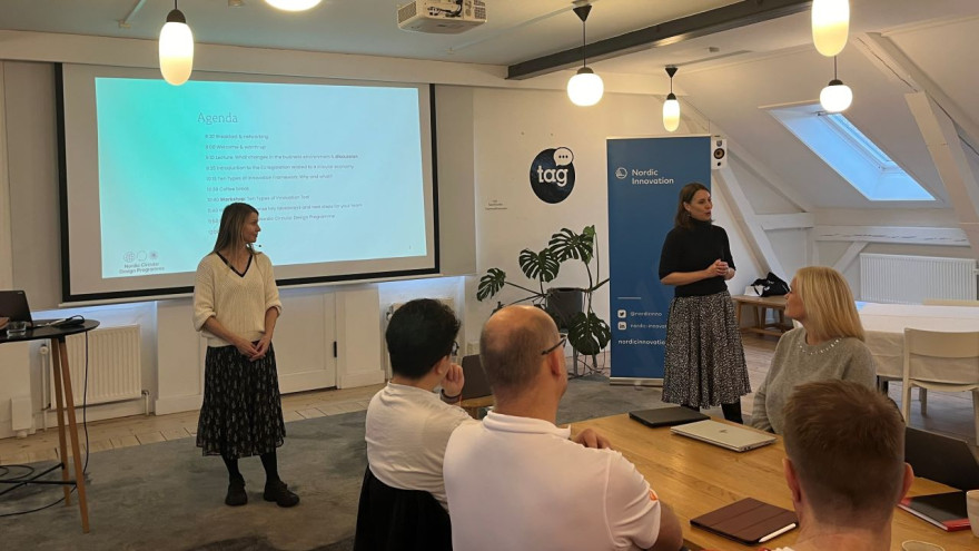 Hanne åbner programmet